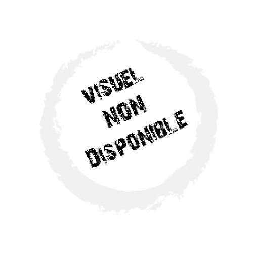 Filtre de remplacement pour CHRISTIE - ROADSTER X4HB - 03-900042-01P