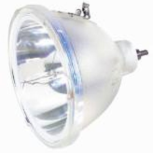 Ampoule OPTOMA - RD50  