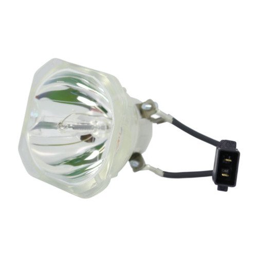 Related product