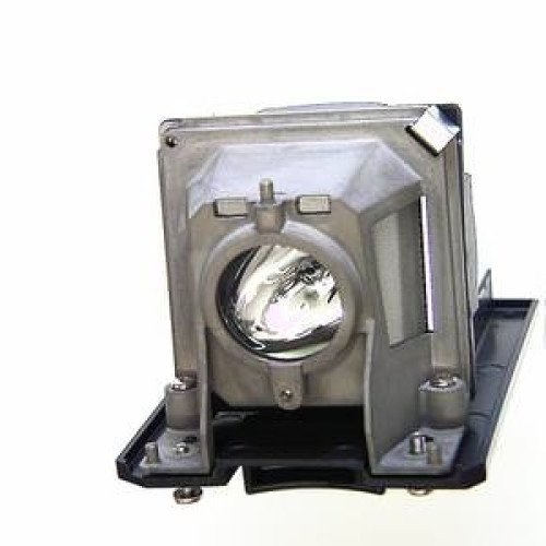 Lampe NEC - V230X