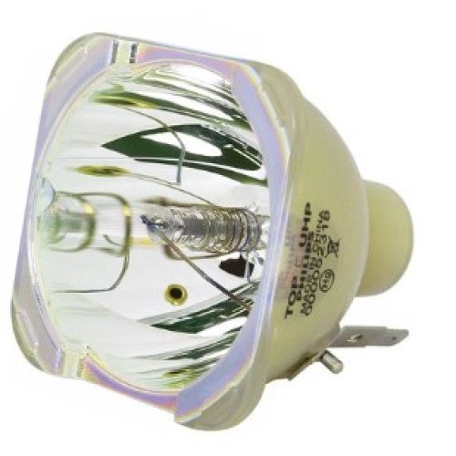 Ampoule NEC - NP-P502H